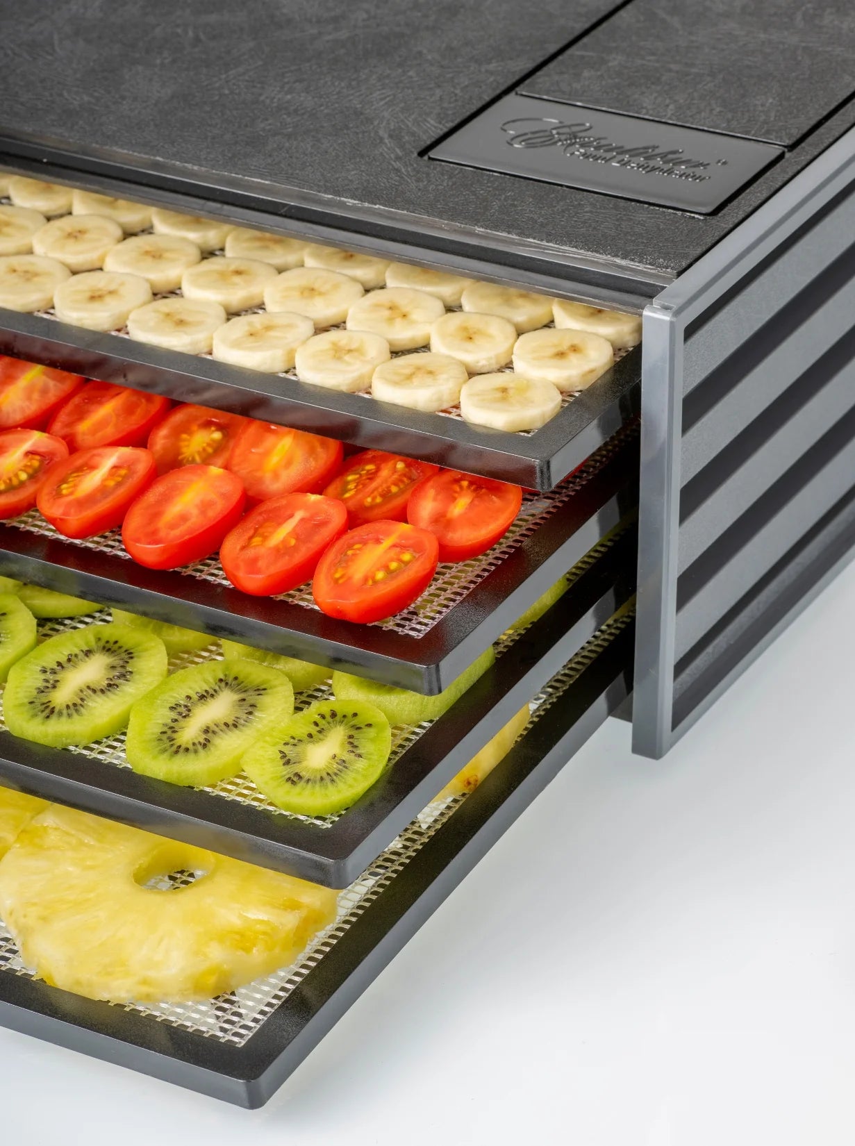 ExCALIBUR 4 Tray Dehydator 4400220G