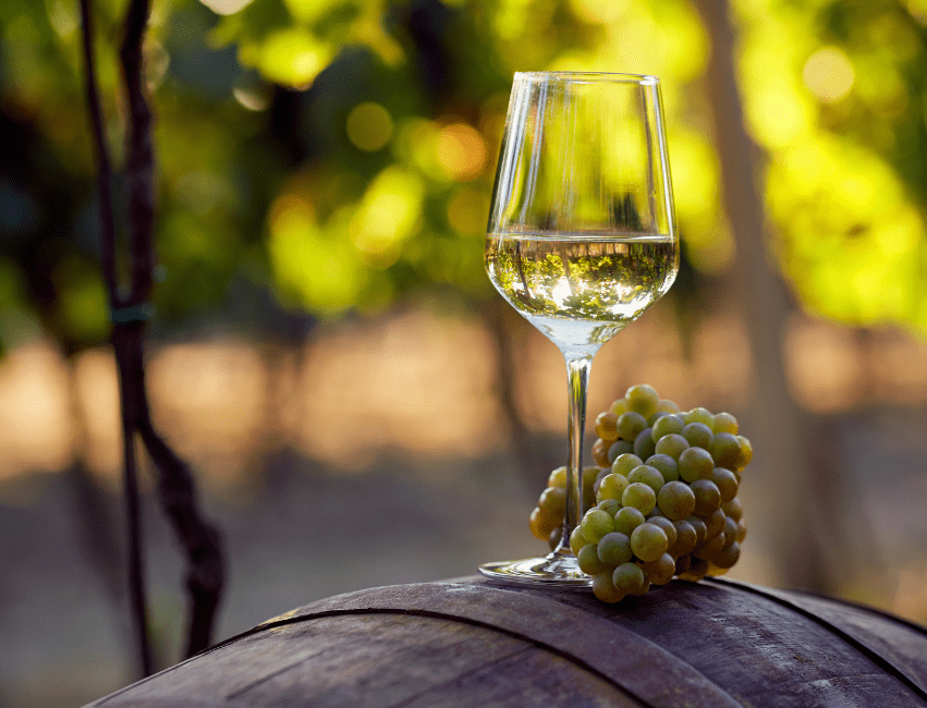 PASABAHCE NAPA Wine Stemware 360cc