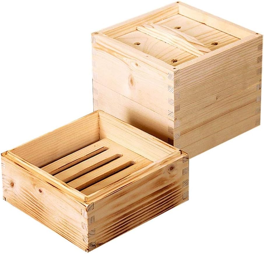 DW Dim Sum Basket Square