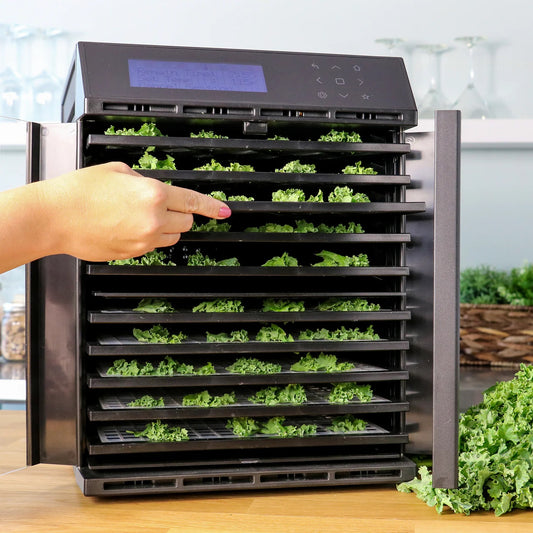 EXCALIBUR Dehydrator 10 Tray Touch Digital,