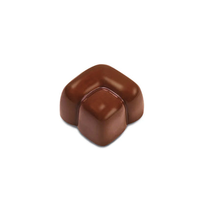 PAVONI Choco Bar Mould Bonbons PC64